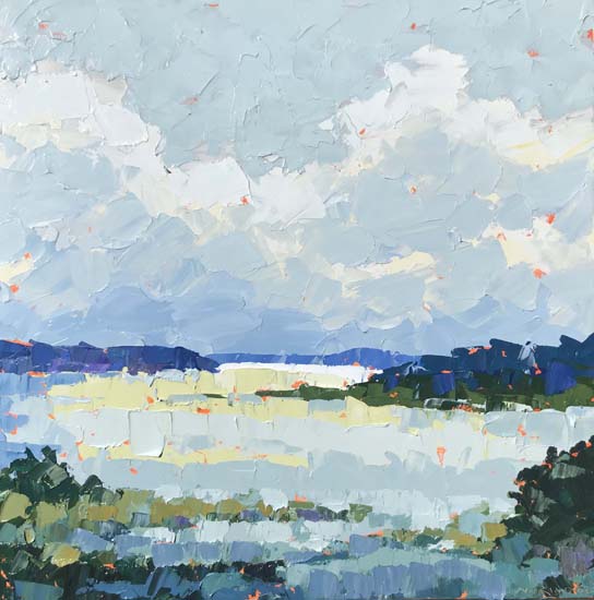 Summer Clouds
