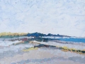 Along the Dunes
